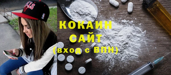 прущий лед Алзамай