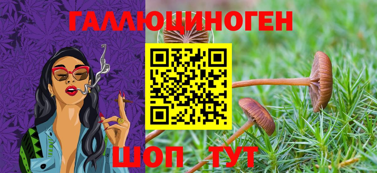 Псилоцибиновые грибы ЛСД  Галлюциногенные грибы мухоморы  Вход с VPN  Пушкино 